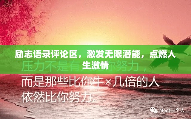 将机就机 第2页
