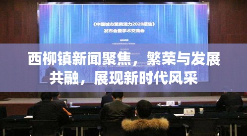 西柳镇新闻聚焦，繁荣与发展共融，展现新时代风采