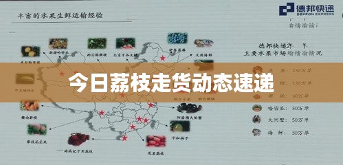 今日荔枝走货动态速递