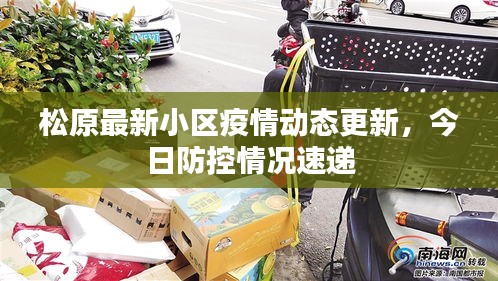 松原最新小区疫情动态更新，今日防控情况速递