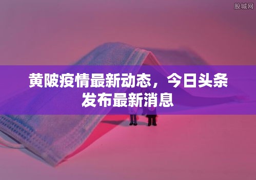黄陂疫情最新动态，今日头条发布最新消息