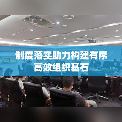 制度落实助力构建有序高效组织基石