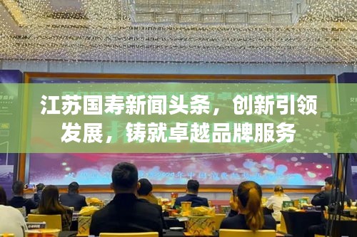 江苏国寿新闻头条，创新引领发展，铸就卓越品牌服务