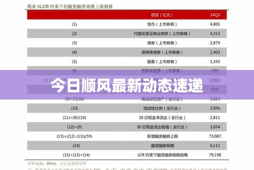 今日顺风最新动态速递
