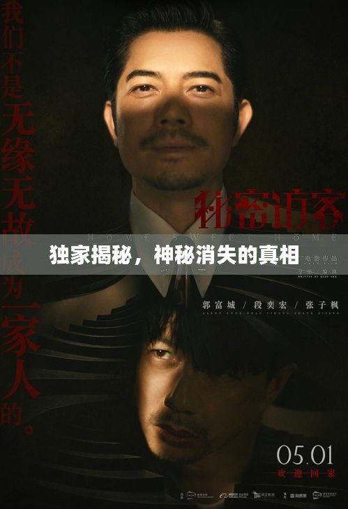 独家揭秘，神秘消失的真相