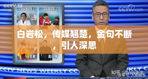 白岩松，传媒翘楚，金句不断，引人深思