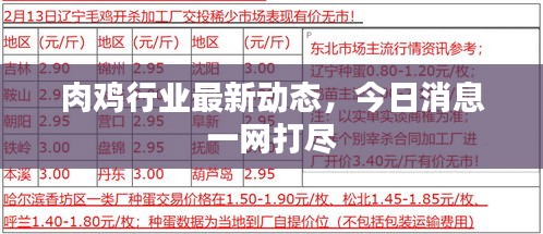 肉鸡行业最新动态，今日消息一网打尽