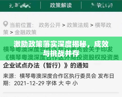 激励政策落实深度揭秘，成效与挑战并存