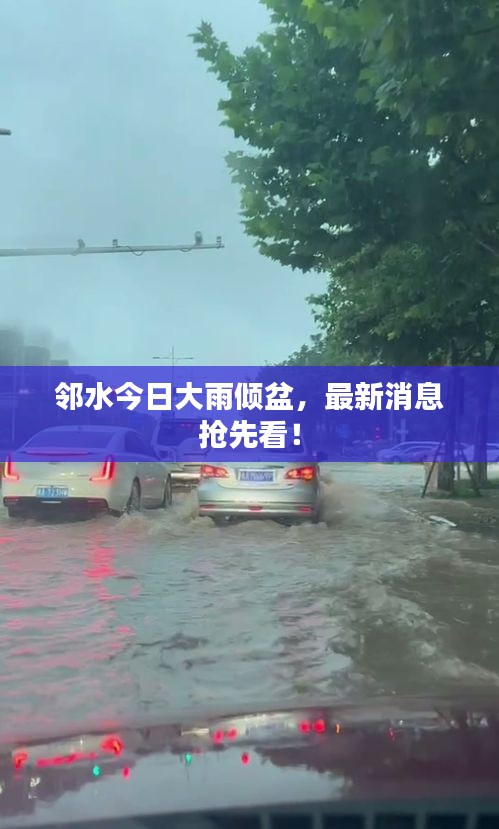 邻水今日大雨倾盆，最新消息抢先看！