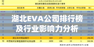 湖北EVA公司排行榜及行业影响力分析
