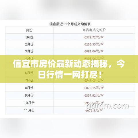 信宜市房价最新动态揭秘，今日行情一网打尽！
