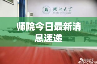师院今日最新消息速递