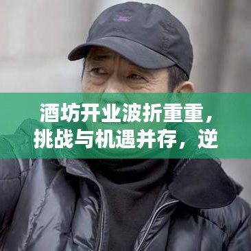 酒坊开业波折重重，挑战与机遇并存，逆境中求突破
