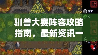 驯兽大赛阵容攻略指南，最新资讯一网打尽