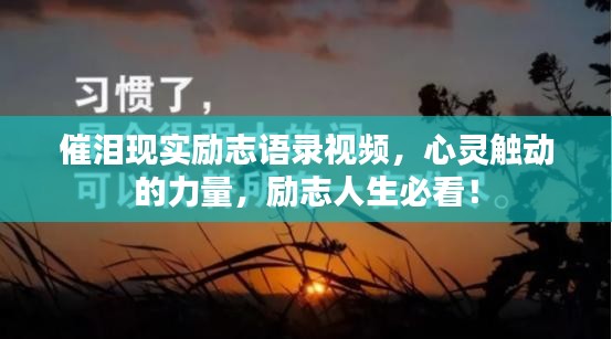 催泪现实励志语录视频，心灵触动的力量，励志人生必看！