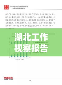 湖北工作视察报告深度解读，2018年成果与未来展望