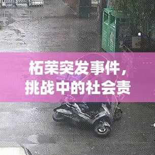 柘荣突发事件，挑战中的社会责任展现