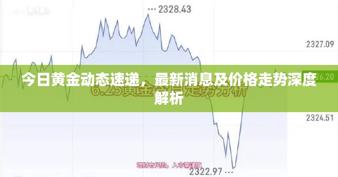 今日黄金动态速递，最新消息及价格走势深度解析