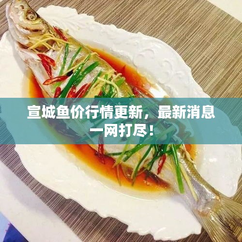 宣城鱼价行情更新，最新消息一网打尽！