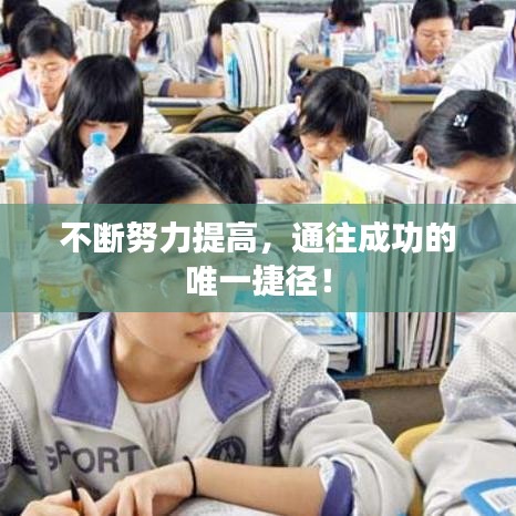 不断努力提高，通往成功的唯一捷径！