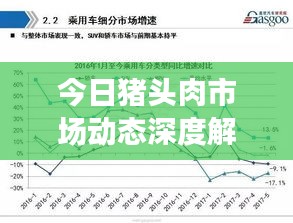 今日猪头肉市场动态深度解析报告