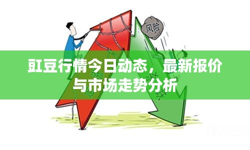 豇豆行情今日动态，最新报价与市场走势分析