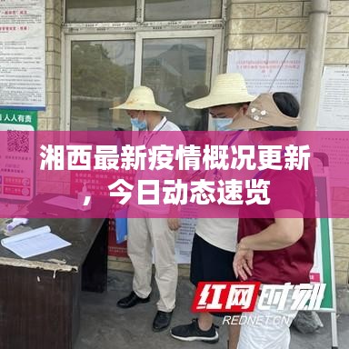 湘西最新疫情概况更新，今日动态速览