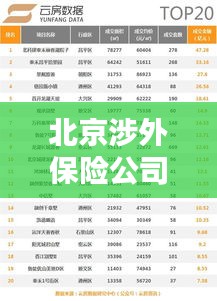 北京涉外保险公司排名大揭秘，权威榜单，不容错过！