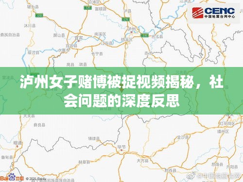 泸州女子赌博被捉视频揭秘，社会问题的深度反思