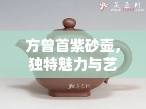 方曾首紫砂壶，独特魅力与艺术价值的探索