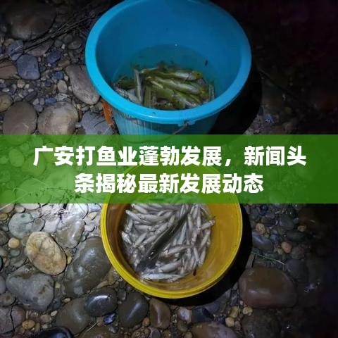 广安打鱼业蓬勃发展，新闻头条揭秘最新发展动态