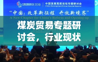 煤炭贸易专题研讨会，行业现状与发展趋势深度探讨