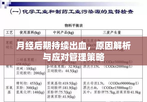 月经后期持续出血，原因解析与应对管理策略