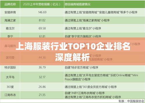 上海服装行业TOP10企业排名深度解析