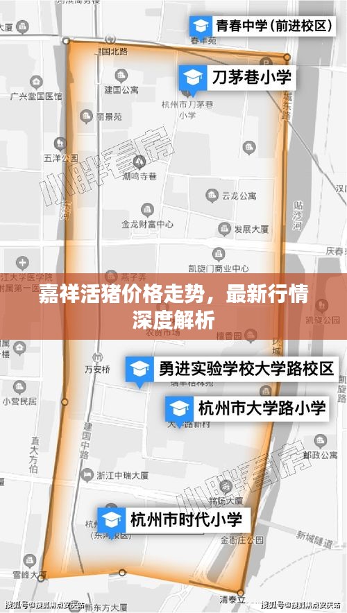 嘉祥活猪价格走势，最新行情深度解析