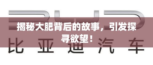 揭秘大肥背后的故事，引发探寻欲望！