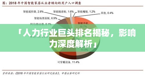 「人力行业巨头排名揭秘，影响力深度解析」