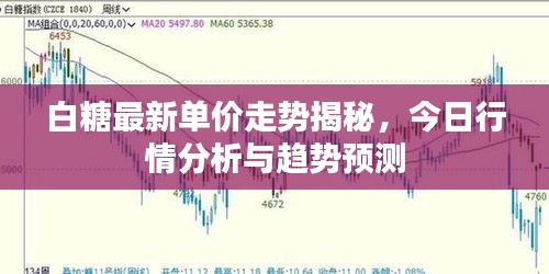 白糖最新单价走势揭秘，今日行情分析与趋势预测