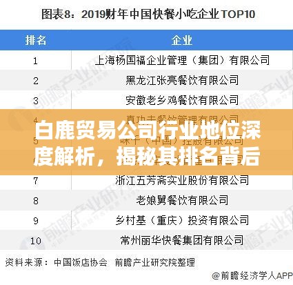 白鹿贸易公司行业地位深度解析，揭秘其排名背后的秘密！