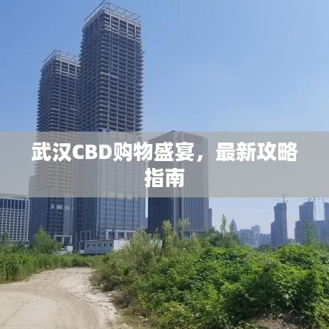 武汉CBD购物盛宴，最新攻略指南