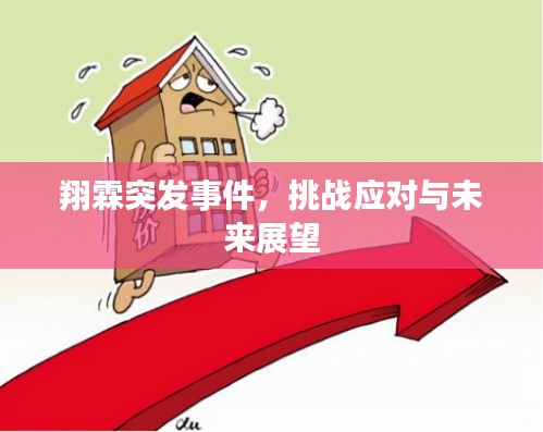 翔霖突发事件，挑战应对与未来展望