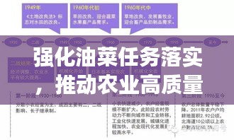强化油菜任务落实，推动农业高质量发展进程