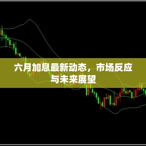 六月加息最新动态，市场反应与未来展望