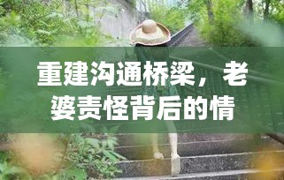 重建沟通桥梁，老婆责怪背后的情感修复之旅