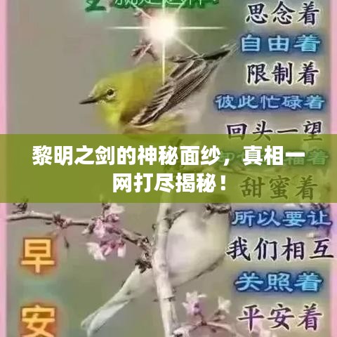黎明之剑的神秘面纱，真相一网打尽揭秘！