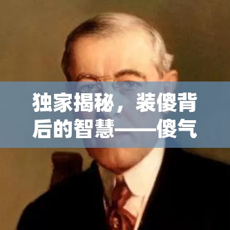 独家揭秘，装傻背后的智慧——傻气中的智慧小说