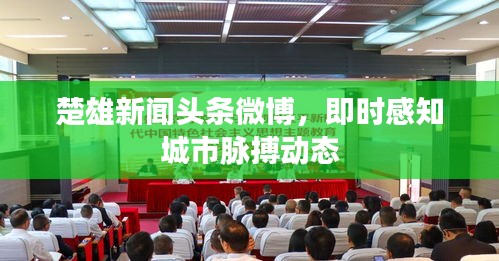 楚雄新闻头条微博，即时感知城市脉搏动态