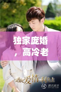 独家庞婚，高冷老公的深情密码解锁