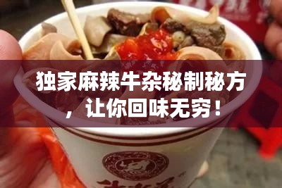 独家麻辣牛杂秘制秘方，让你回味无穷！