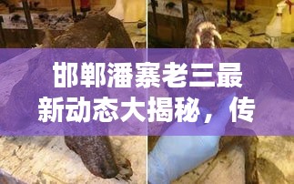 邯郸潘寨老三最新动态大揭秘，传闻背后的真相